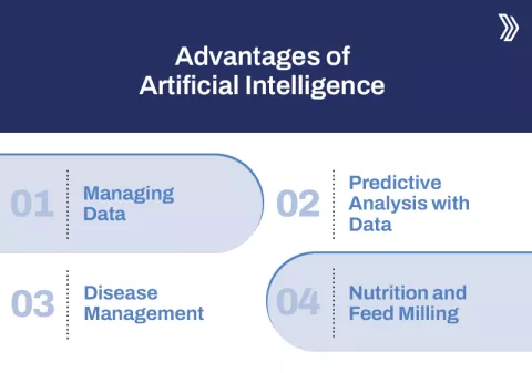 Artificial Intelligence Transforming the Poultry Industry